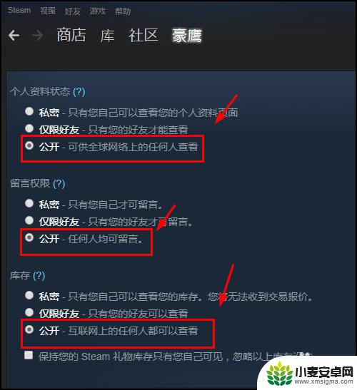 steam设置可见 Steam库存怎么公开设置