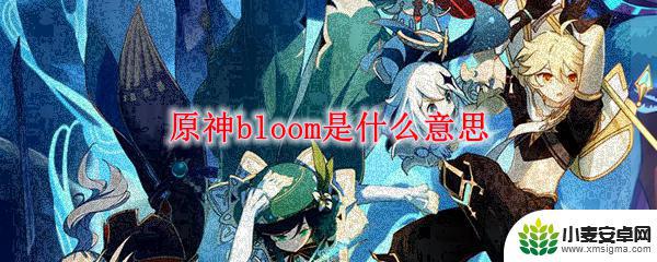 原神游戏bloom 原神bloom技能解析