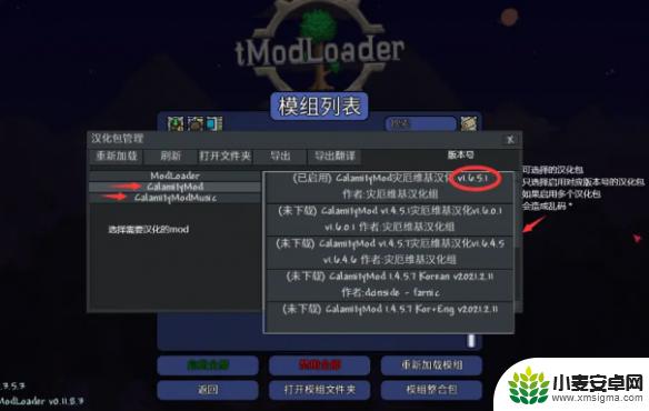 泰拉瑞亚新版汉化包怎么做 泰拉瑞亚mod汉化资源分享平台