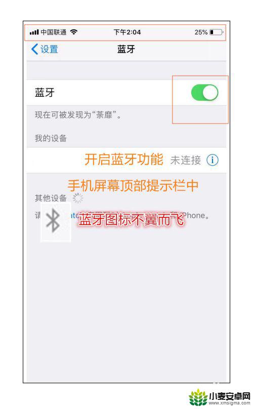 苹果手机打开蓝牙没有蓝牙标志 苹果手机蓝牙没有图标怎么找