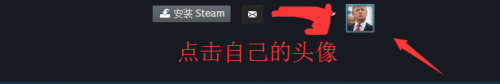 steam检视链接 怎么看 怎样查看自己Steam账号的URL