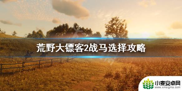 荒野大镖客战马属性 荒野大镖客2战马属性选择攻略