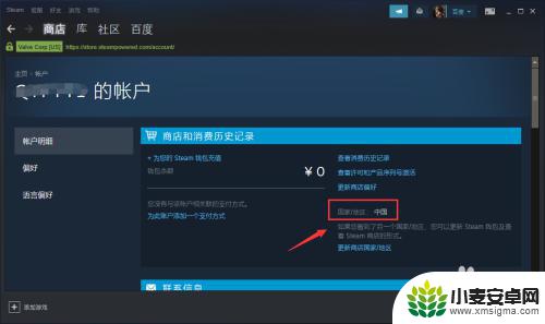 如何查看steam账号地区 Steam账户国家怎么看