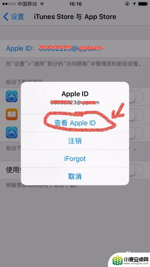 苹果手机取消自动扣款 iPhone上如何取消自动扣费项目