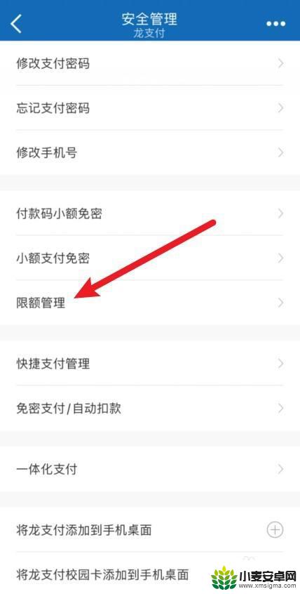 龙支付怎么解除限额 龙支付1000元限额解除方法