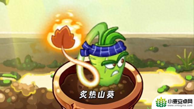 植物大战僵尸2：五阶怒焰之火，近战变远程！