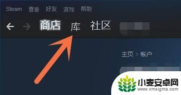 steam怎么搜编号 steam游戏序列号在哪里获取