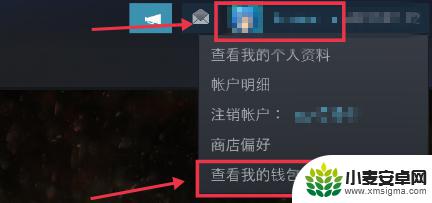 我的steam怎么没有钱包 Steam钱包在哪里购买