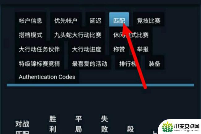 steam手机如何看csgo登记 CSGO手机版战绩怎么看