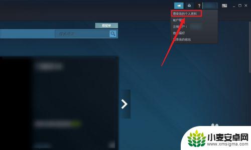 steam隐私账号设置 如何在Steam上设置隐私