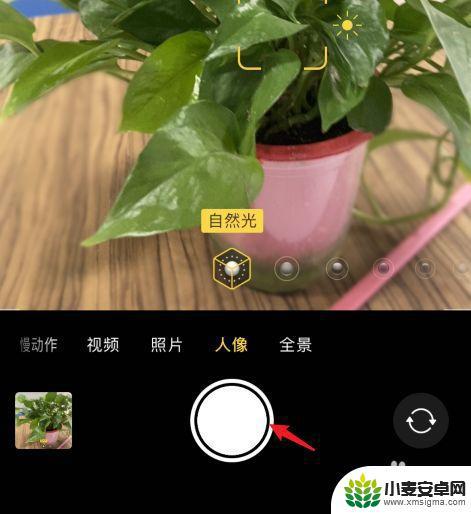 苹果手机拍静物如何虚化 iPhone XR如何拍摄出静物虚化效果