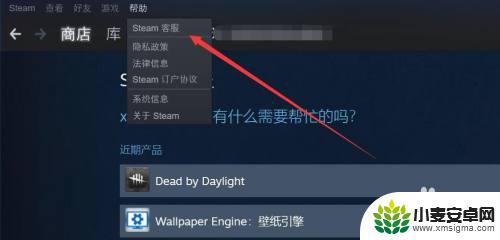 steam充的钱怎么转到蒸汽平台 如何将Steam余额转移到蒸汽平台