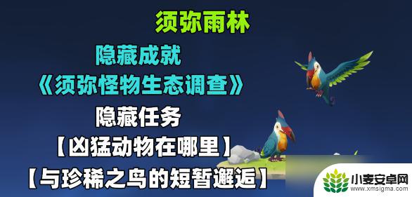 原神珍稀之鸟怎么触发任务的 原神珍稀之鸟短暂邂逅攻略分享