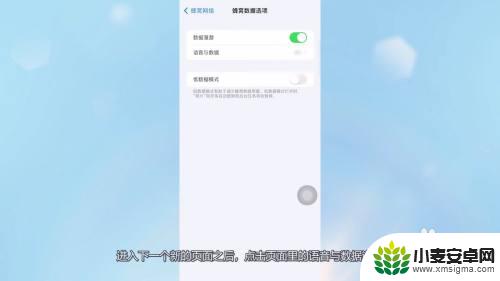 苹果手机怎么变4g网络 苹果13的4G网络模式设置方法