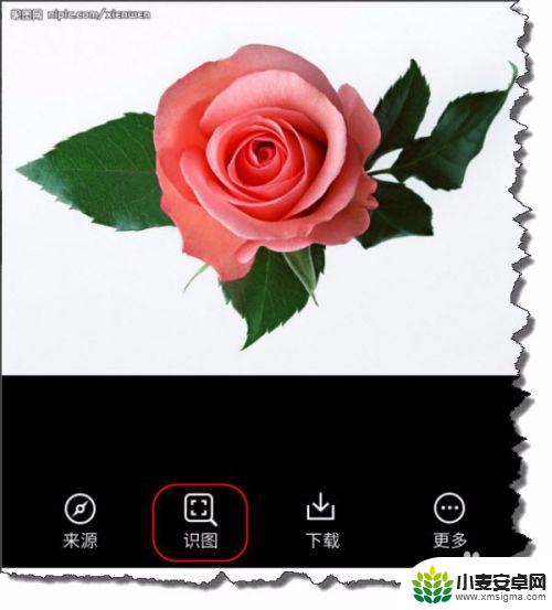 手机搜图片百度识图 手机端百度图片识图搜索技巧详解