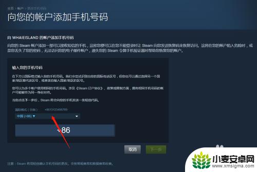 如何查看steam登录的设备 Steam更换手机设备的步骤