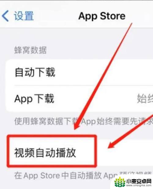苹果手机视频自动播放怎么设置 苹果手机视频自动播放设置方法