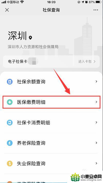 手机上咋样查老年人医保 如何在苹果手机微信上查询医保某年的缴费明细