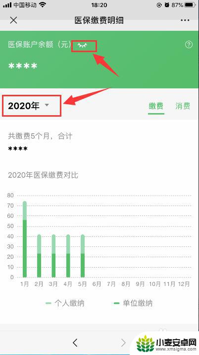 手机上咋样查老年人医保 如何在苹果手机微信上查询医保某年的缴费明细