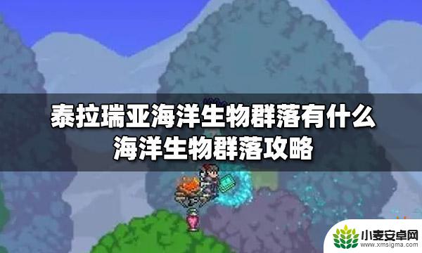 泰拉瑞亚海洋边缘宝箱 泰拉瑞亚海洋生物群落探索攻略