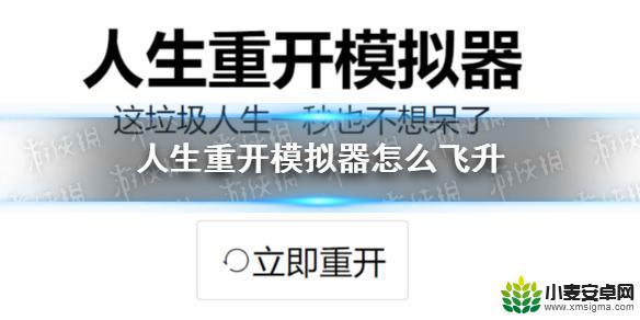 人生模拟重开器怎么机械飞升 《人生重开模拟器》飞升攻略