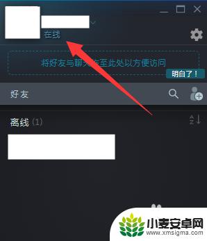 steam怎么让好友看不到你游戏在线 怎样让steam好友无法看到我在玩游戏