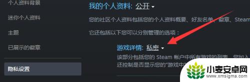 steam怎么让好友看不到你游戏在线 怎样让steam好友无法看到我在玩游戏