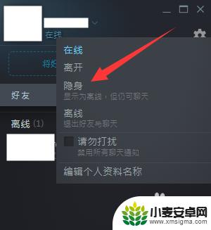 steam怎么让好友看不到你游戏在线 怎样让steam好友无法看到我在玩游戏