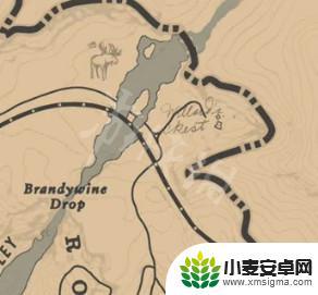 荒野大镖客2寡妇怎么解锁 《荒野大镖客2》寡妇任务在哪里完成