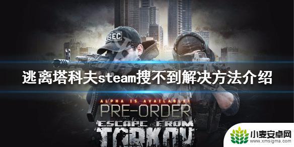 逃离塔科夫在steam怎么搜 《逃离塔科夫》steam搜索不到解决方案