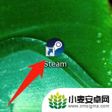 登录steam无法输入字母 Steam登录界面无法输入无法解决怎么办