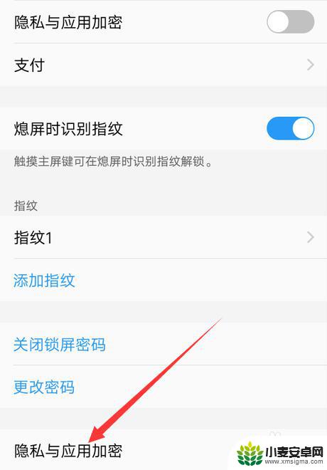 vivo手机应用加密怎么修改密码 vivo手机怎么修改隐私密码