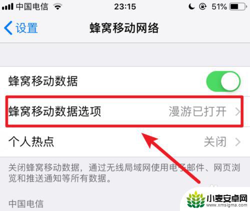 手机蜂窝数据不显示 苹果iPhone手机开启蜂窝数据后没有4G信号怎么办