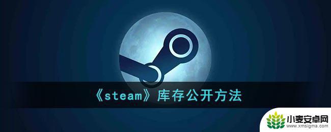 公开steam账户的个人资料和库存 Steam库存公开的设置方法