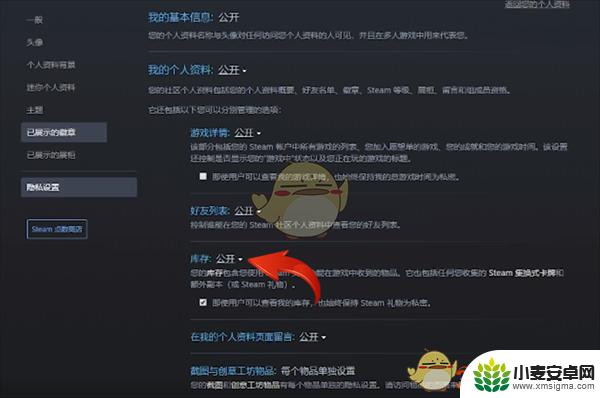 公开steam账户的个人资料和库存 Steam库存公开的设置方法