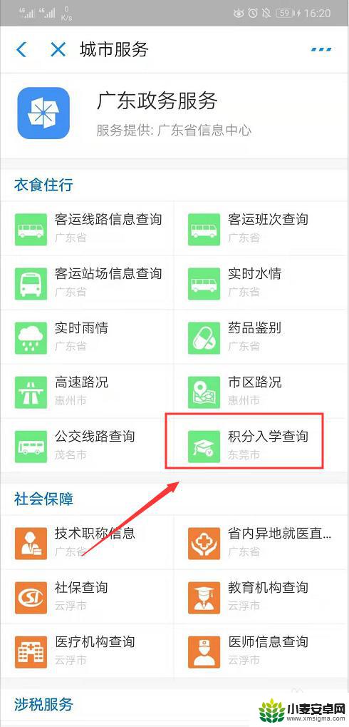 在手机上如何查询积分入学 如何快速查询东莞积分入学信息