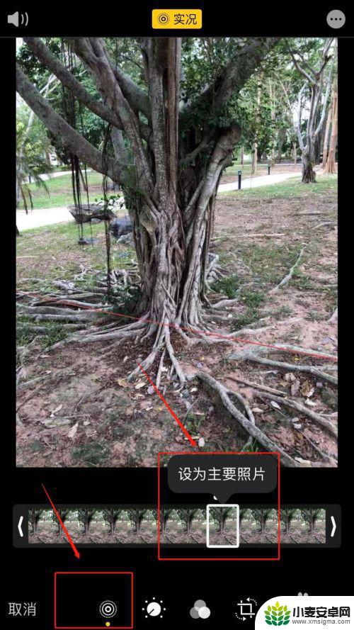 苹果手机如何画静态图 iPhone实况照片变成静态照片的步骤