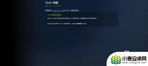 手机steam查看封禁状态 steam如何查看VAC封禁记录