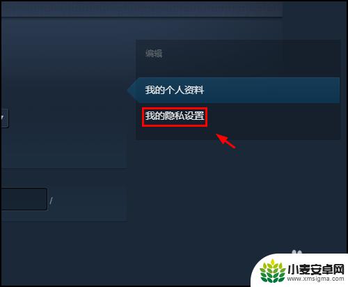 steam游戏详情和库存怎么公开 Steam库存公开方法