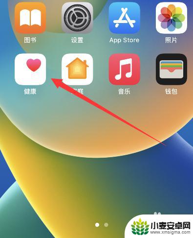 iphone静息能量在哪看 如何查看iPhone静息能量