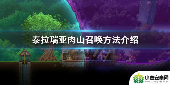 泰拉瑞亚肉boss怎么召唤 《泰拉瑞亚》肉山召唤需要什么材料