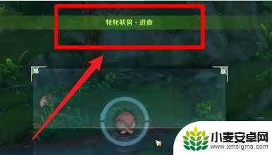 原神坨兽进食怎么拍 原神牦牦驮兽进食位置