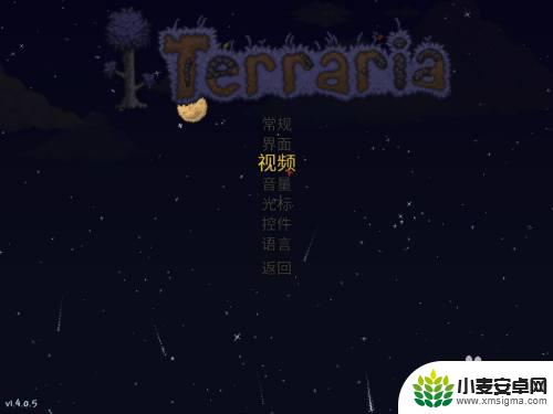 terraria如何全屏 泰拉瑞亚怎么窗口化设置