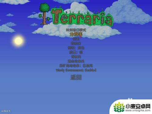 terraria如何全屏 泰拉瑞亚怎么窗口化设置