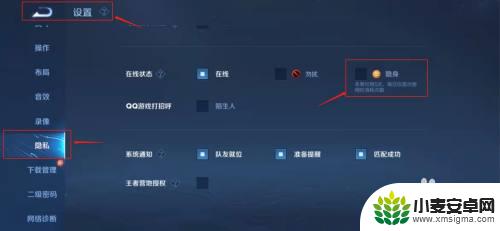 王者荣耀如何让别人看不到自己在线 王者荣耀怎么设置隐藏在线状态