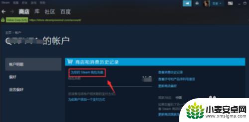 steam自充值 steam任意金额充值攻略