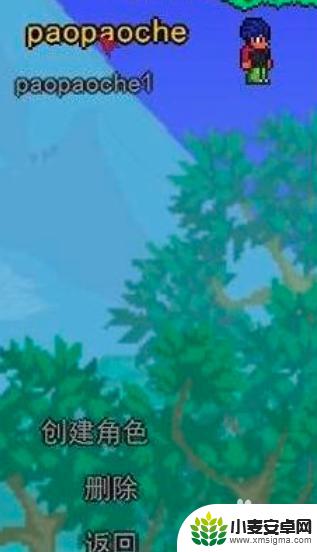 泰拉瑞亚怎么4个人联机 泰拉瑞亚怎么联机玩