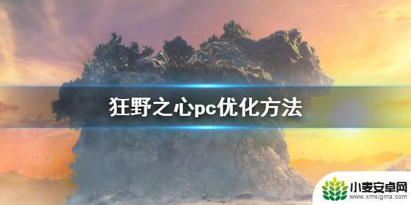 狂野之心掉帧怎么回事 狂野之心降低掉帧的方法