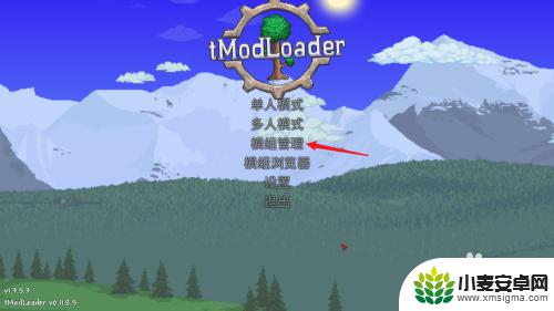 泰拉瑞亚在steam上怎么搜 steam泰拉瑞亚怎么安装灾厄mod