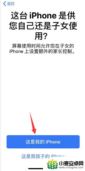 怎样查询iphone使用记录 iPhone怎么查看每天应用程序使用记录和时长